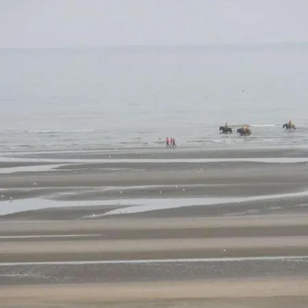 With Private Balcony, Cleaning Included Apartment Oostduinkerke