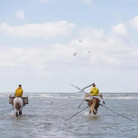 In Koksijde Near The Beach, Cleaning Included Διαμέρισμα